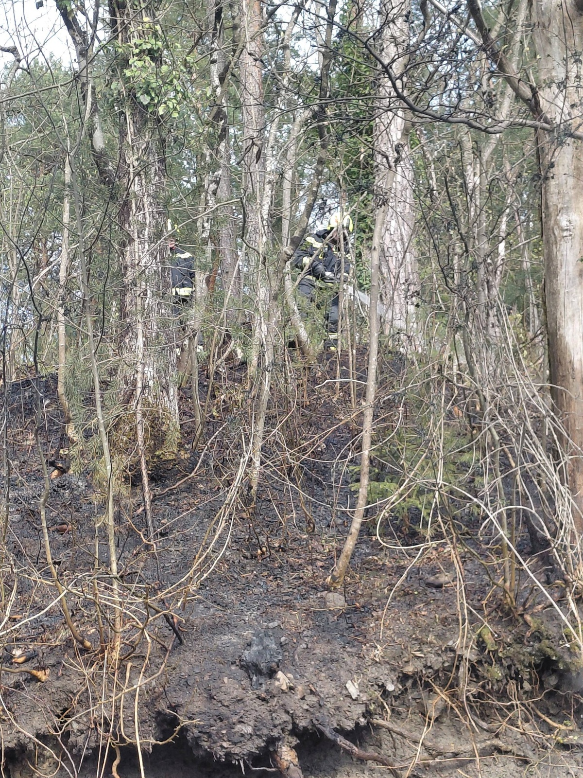 pozar vozila sevnica 1