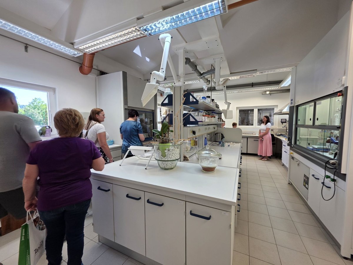 dan odprtih vrat tanin 2026 05 06
