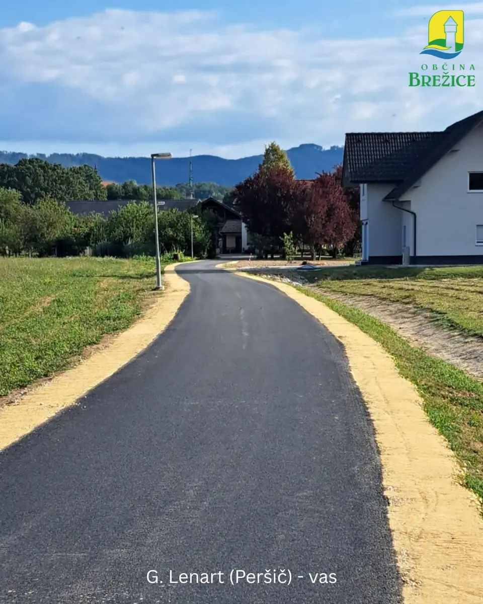 rekonstrukcije cest brezice 7