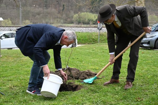 zasaditev-lipe-sevnica-2026-2165CCDA8-F6D5-5ED9-4C95-2F113DDA1D87.jpg