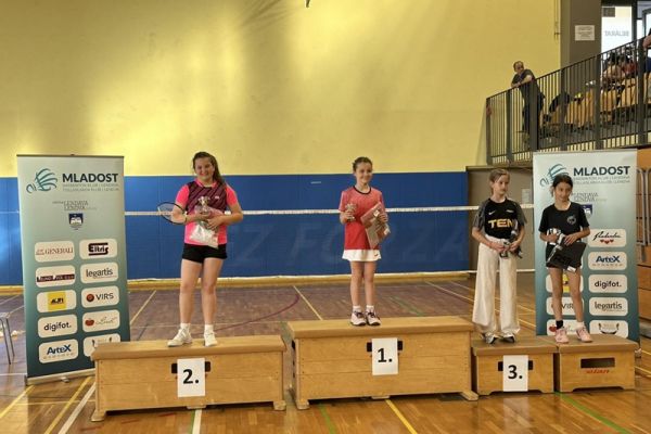badminton-pisece-7770D91F57E-C5EE-AA00-D20F-2E542EE7B00C.jpg