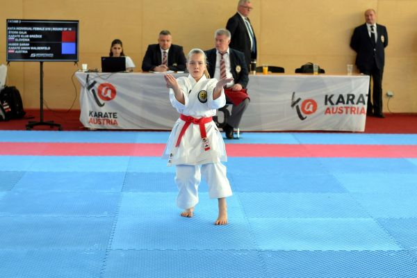 soltek-karate-466F5AA56-7243-A0CB-ACD3-DBACD1E280B5.jpg