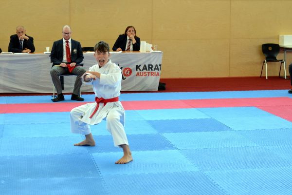 soltek-karate-6FDA37DFA-4499-5E14-A9E2-00EBDBCBF88D.jpg
