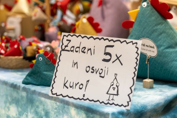 kk-posel-038E248A97-DD38-5F74-05A0-0D0041E0B579.jpg