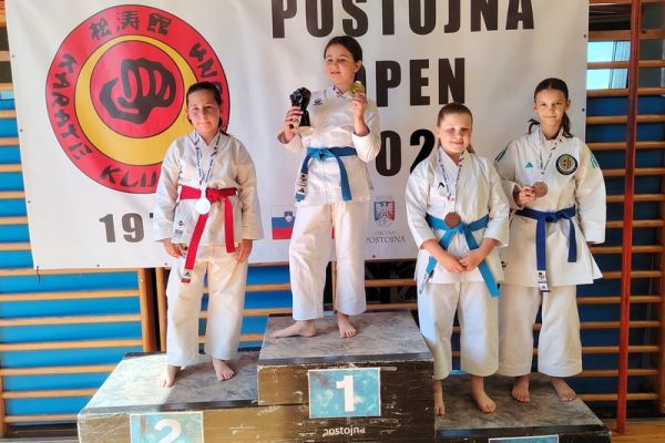 soltec-brezice-karate-052546D324-027F-26BD-DF74-9A36151DF8B6.jpg