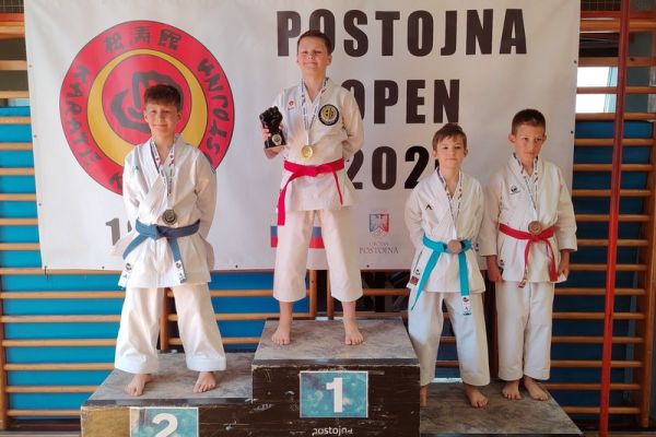 soltec-brezice-karate-0617B054B3-83CD-54AA-7649-7A269E7A7C9D.jpg