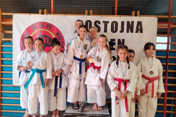 soltec-brezice-karate-07D5E4E373-8CFE-126F-0CCC-8DE4B6A4BD5D.jpg