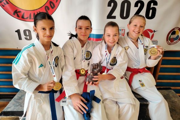 soltec-brezice-karate-08764DA696-5031-FFCB-408E-9184D09E26C3.jpg