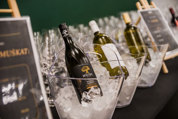 podelitev-vino-kruh-in-potica-maj26-250226F045-DC77-AC45-84EE-F4FEE25A954B.jpg