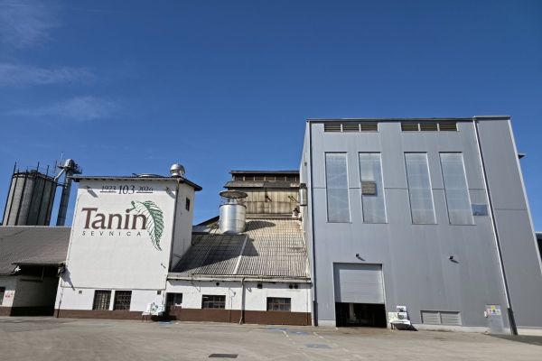 dan-odprtih-vrat-tanin-2026-092920B0CE-970F-787B-AE56-399E5D654D3B.jpg