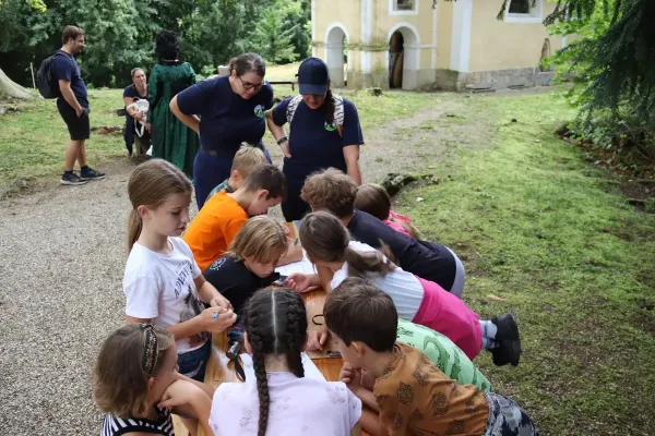 mokriske-vrane-tabor-316B4123FA-3FEB-8849-B7F7-2926F22A389A.webp