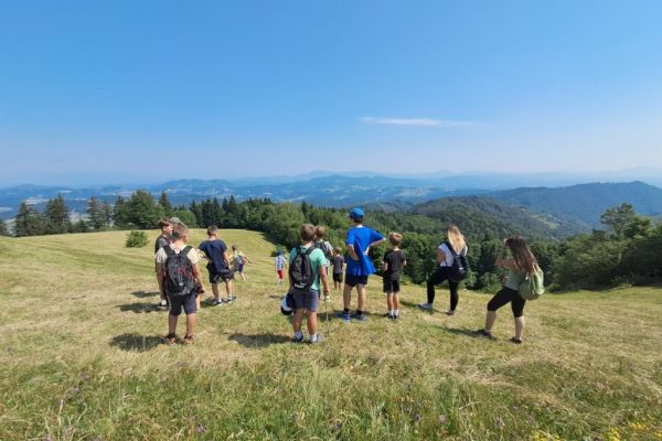 20260630-travnik-oslica9893C891-C7D8-78C9-DE2E-56C7DD277B40.jpg