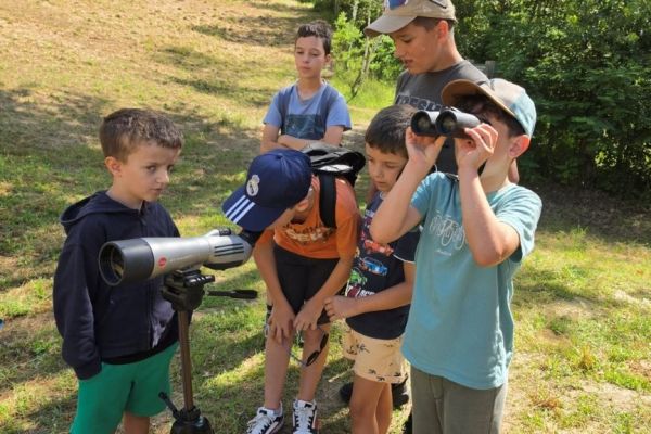 20260706-opazovanje-cebelarja724DAA9E-D369-94B6-4874-7204AB23C3FB.jpg