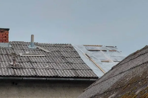 neurje-posavje-brezice-bizeljsko-50C966B8C-9C20-8310-29FA-A2D2447AD284.webp