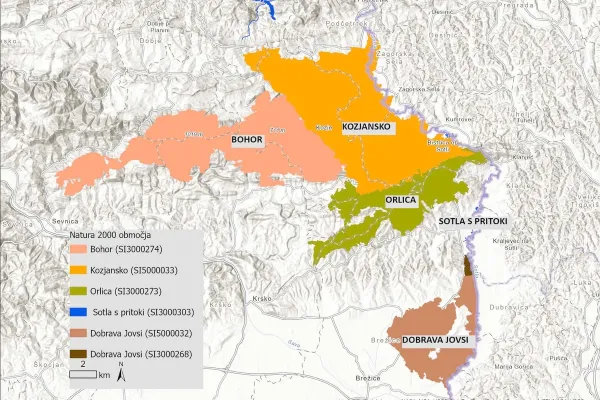 jovsi-natura-kozje-01CA7D9555-7FCB-AEDF-FFF3-E9DBCC681D42.webp