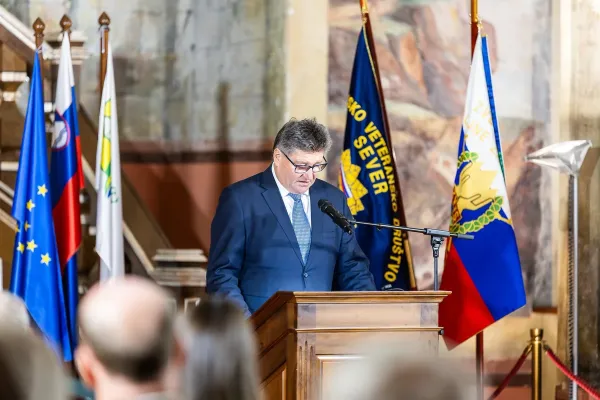 breziska-prireditev-ob-dnevu-samostojnosti-33EE600DF6-E153-8821-20E1-15954CFBCB16.webp