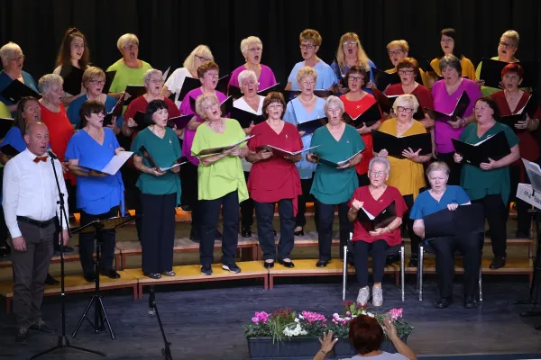 5-koncert-leskovskih-lastovk-07E8F15824-253A-ABB6-00C8-2FF1180B5FB4.webp