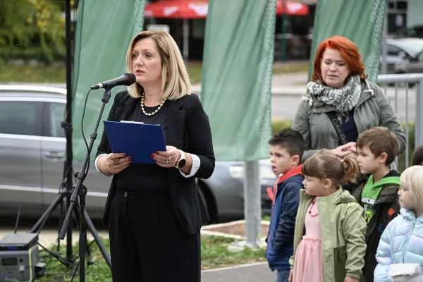 most-cez-senovski-potok-0582908008-D100-F732-1F06-7E37C9F0F4A5.webp