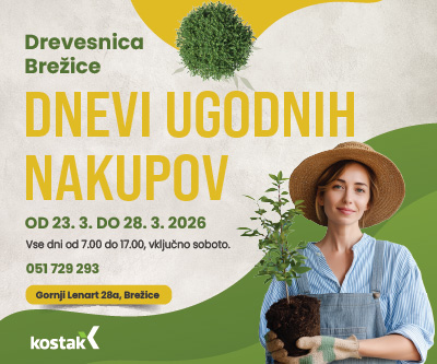 kostak-drevesnnica-brezice