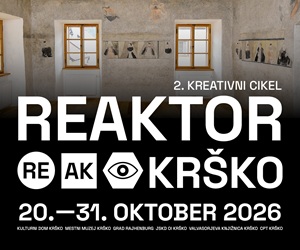 reaktor-festival-cpt