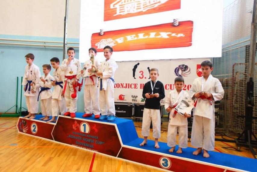 Karate klub Radeče v Slovenskih Konjicah