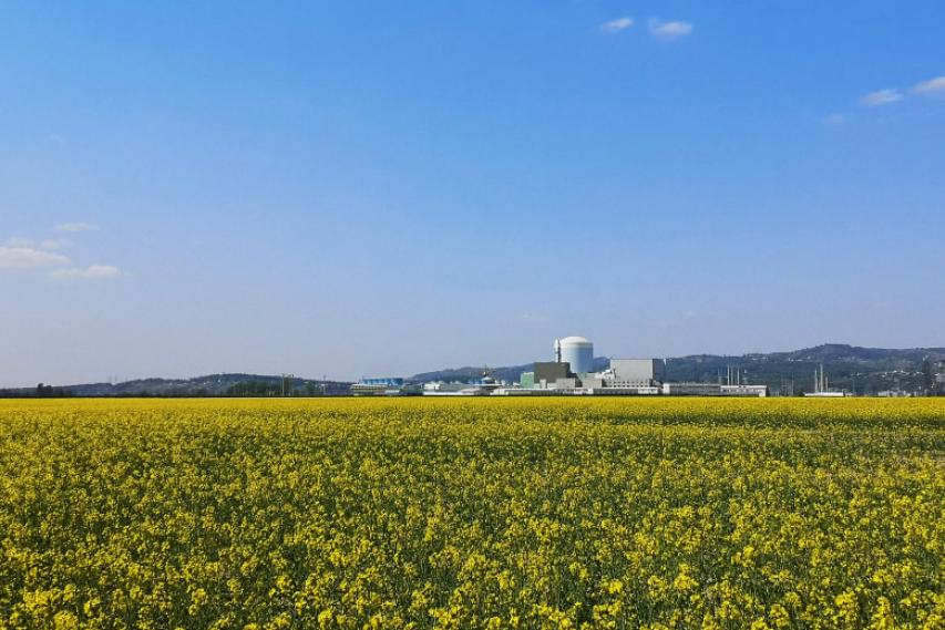 Nuklearna elektrarna Krško v aprilu 2020