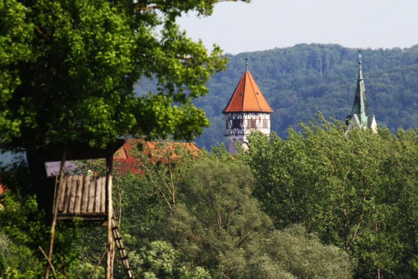Vodovodnemu stolpu v Brežicah se obetajo lepši časi