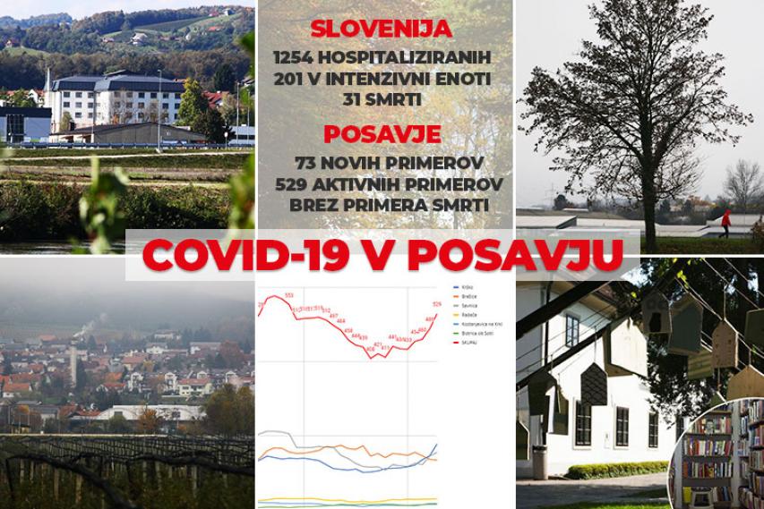 COVID-19 v Posavju, 20. november 2020
