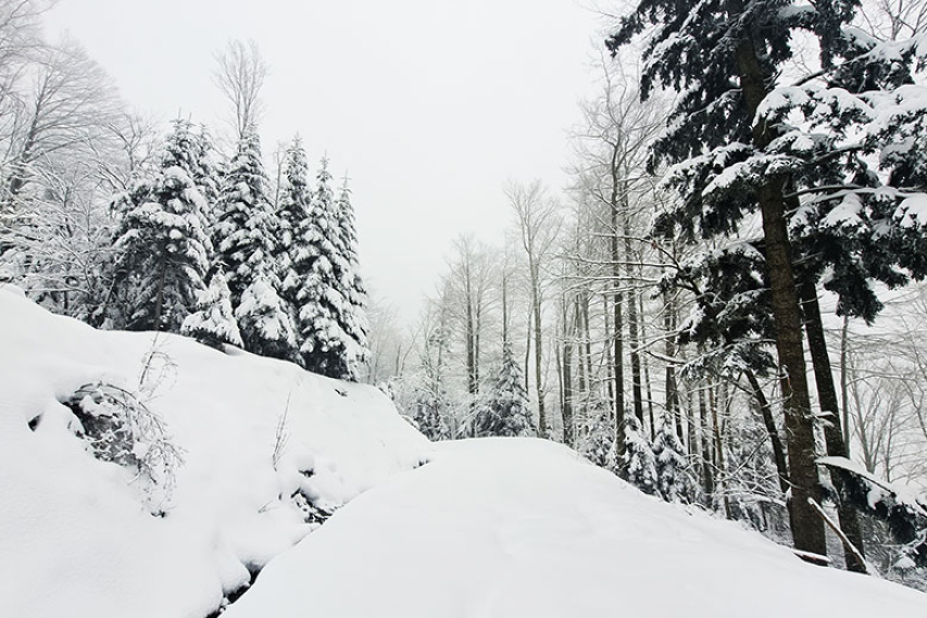 Sneg na Bohorju, 23. januar 2023